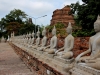 Várias estátuas de Buda em Ayutthaya