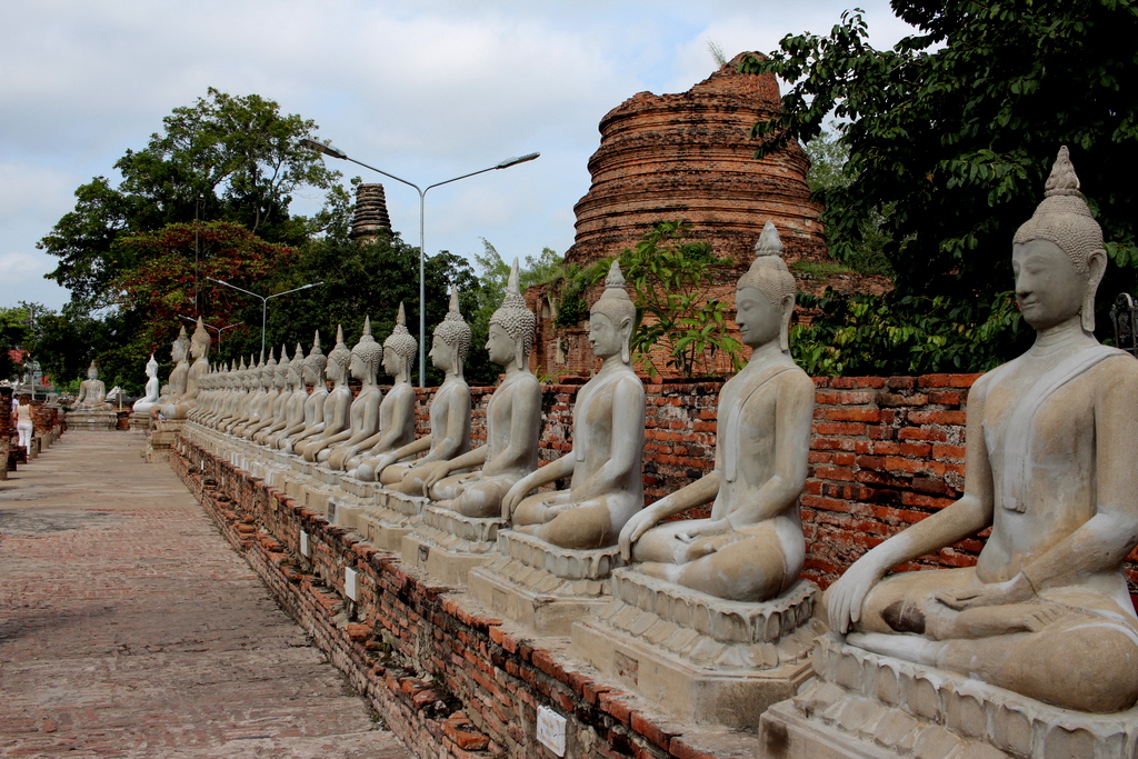 Várias estátuas de Buda em Ayutthaya