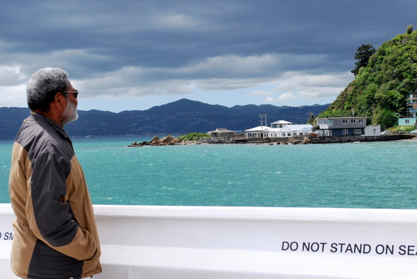 Passeio de Barco em Wellington | Vista de tirar o fôlego!