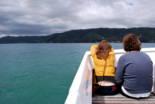 Passeio de Barco em Wellington | Nova Zelândia | 2