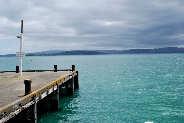 Passeio de Barco em Wellington | Nova Zelândia | Uma das ilhas