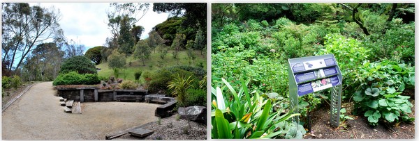 Wellington | Jardim Botânico (1)