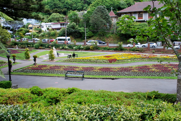 Wellington | Jardim Botânico (3)
