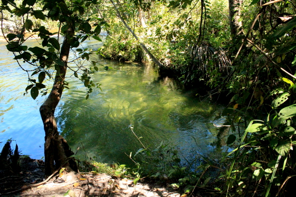 Poço do encontro das águas do Rio Soninho com o Rio Formiga no Jalapão