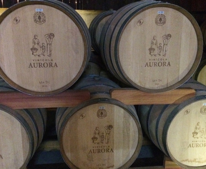 Barris de vinho Aurora