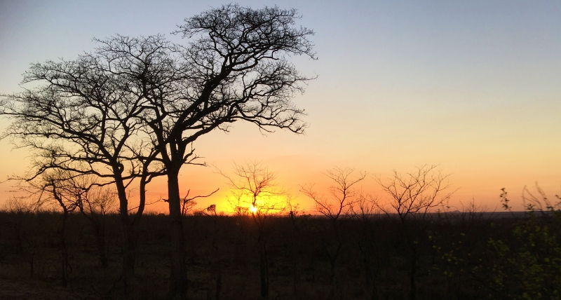 Sol nascendo no Kruger