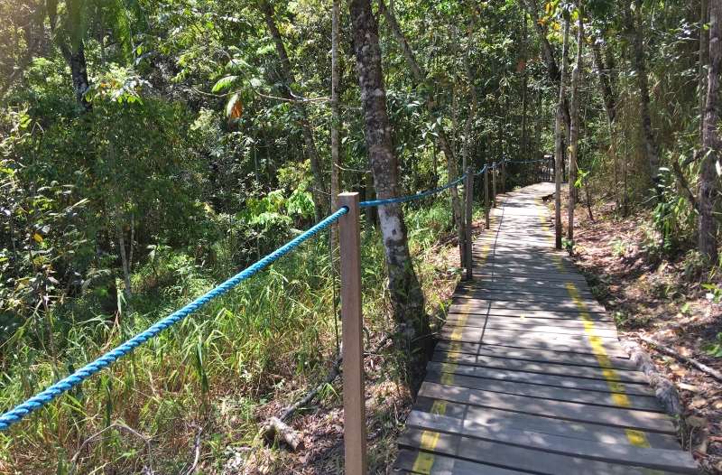 Trilha da Cachoeira Loquinhas é feita em deck de madeira