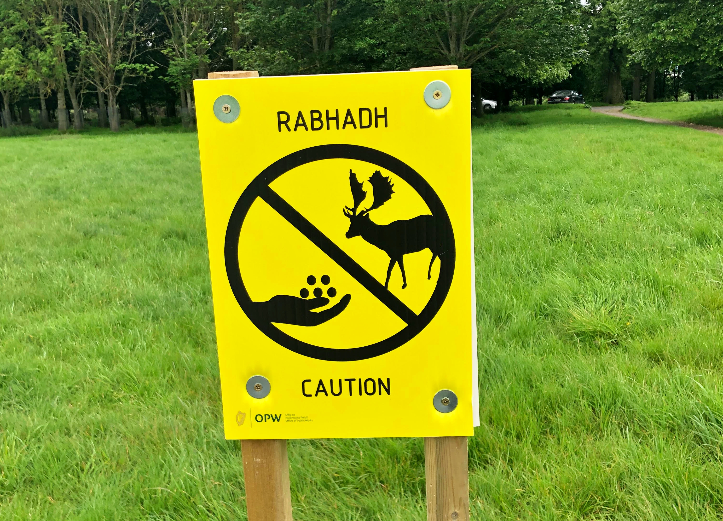 Proibido alimentar os veados no Phoênix Park