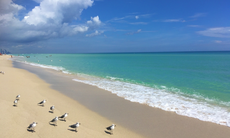 Onde ficar em Miami | Próximo às praias