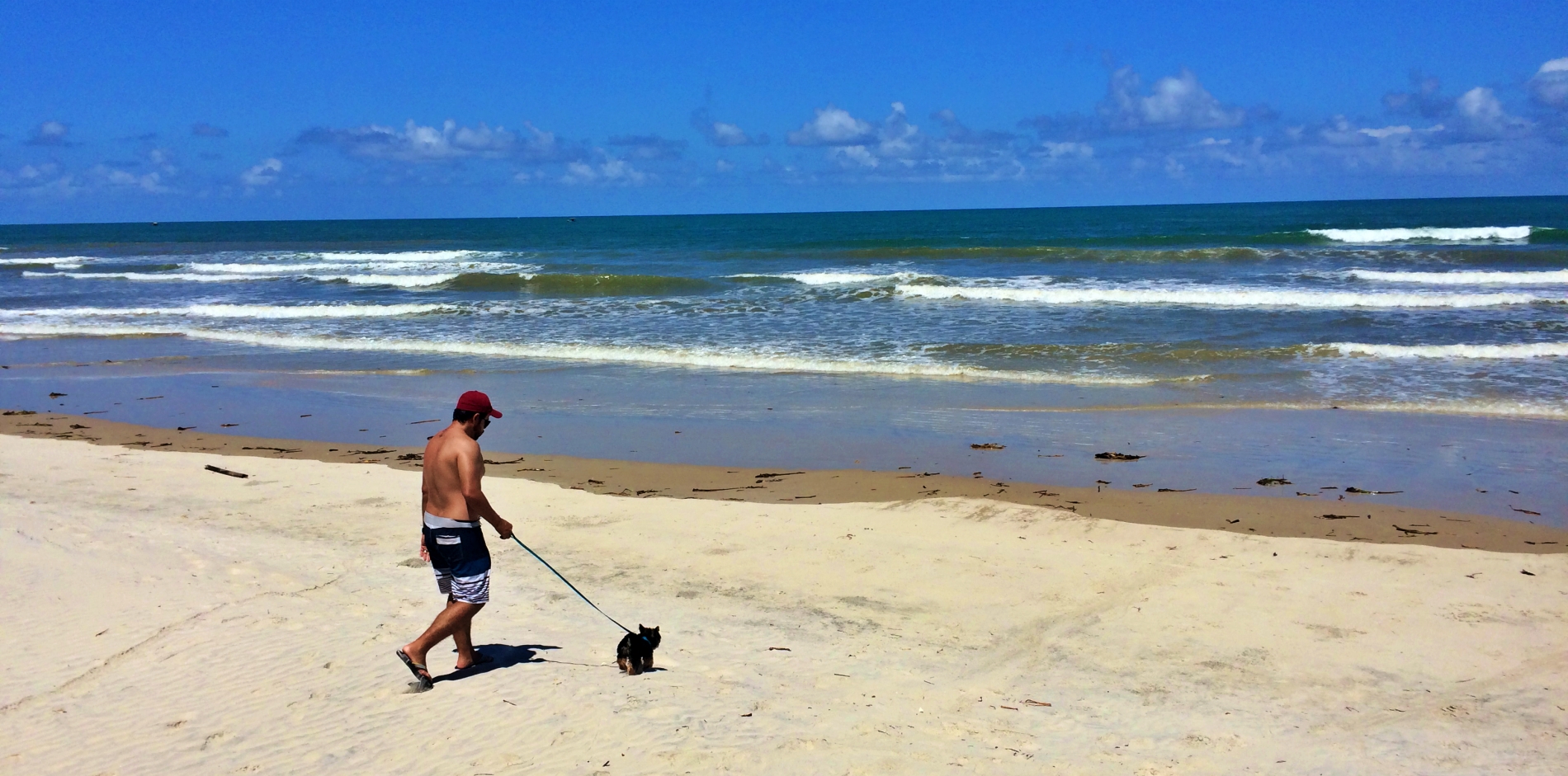 Viajar com Cachorro para a Praia